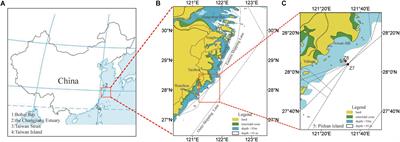 Impact of Ship Traffic on the Characteristics of Shelf Sediments: An Anthropocene Prospective